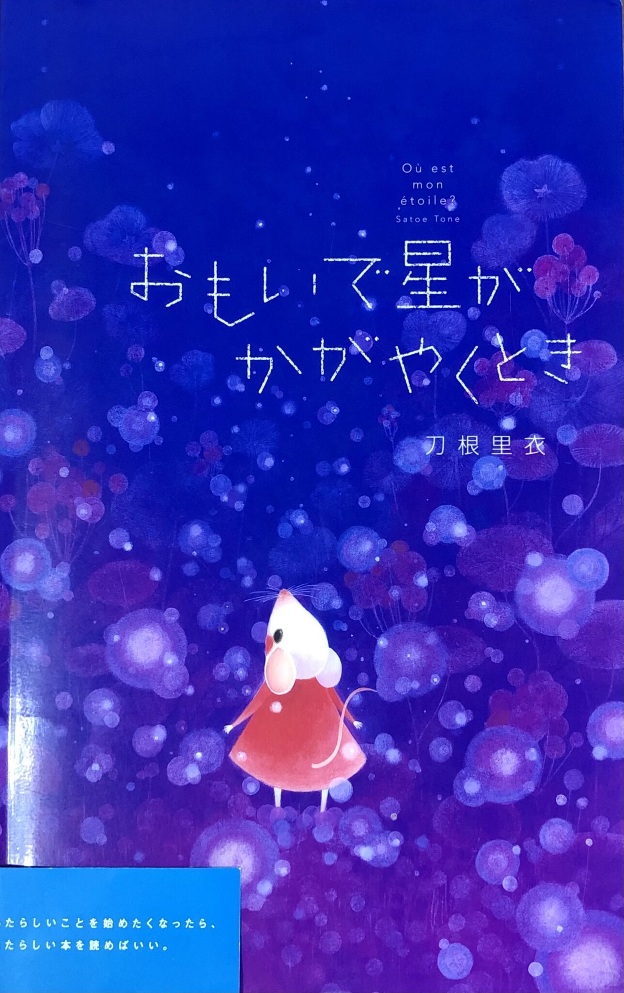おもいで星がかがやくとき（5歳～） | 保育・子育てラボラトリー